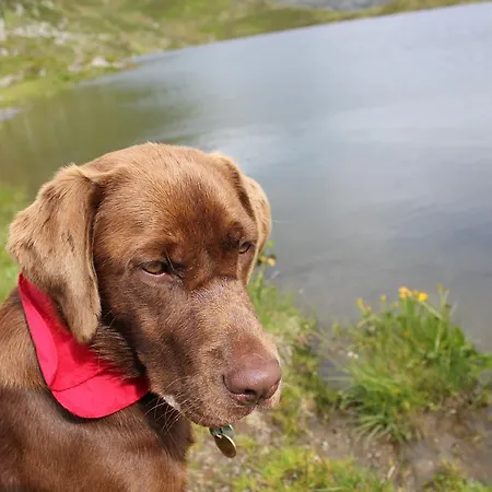 Ager Söll